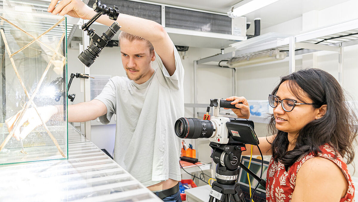 A man is using tweezers to remove an arachnid. A woman is filming it on video.