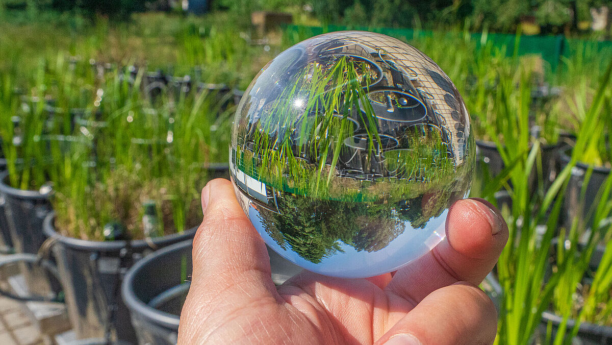 A person holds a glass ball in their hand
