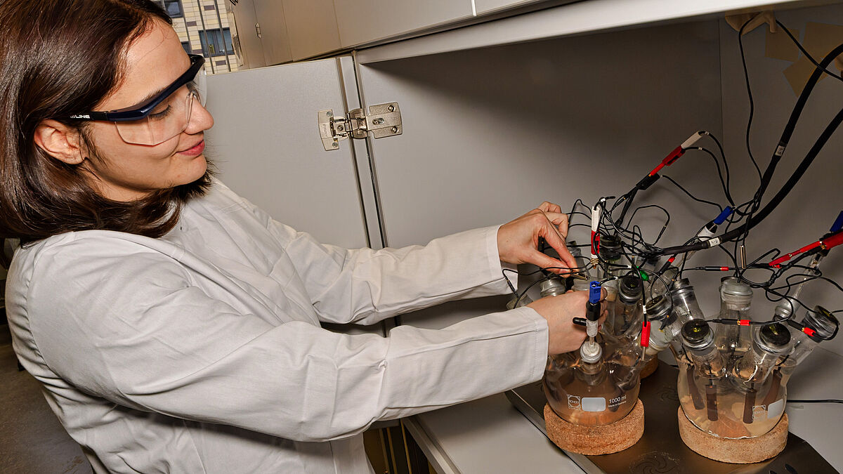 Grundlagenforschung an elektrochemisch aktiven Mikroorganismen in Greifswald.