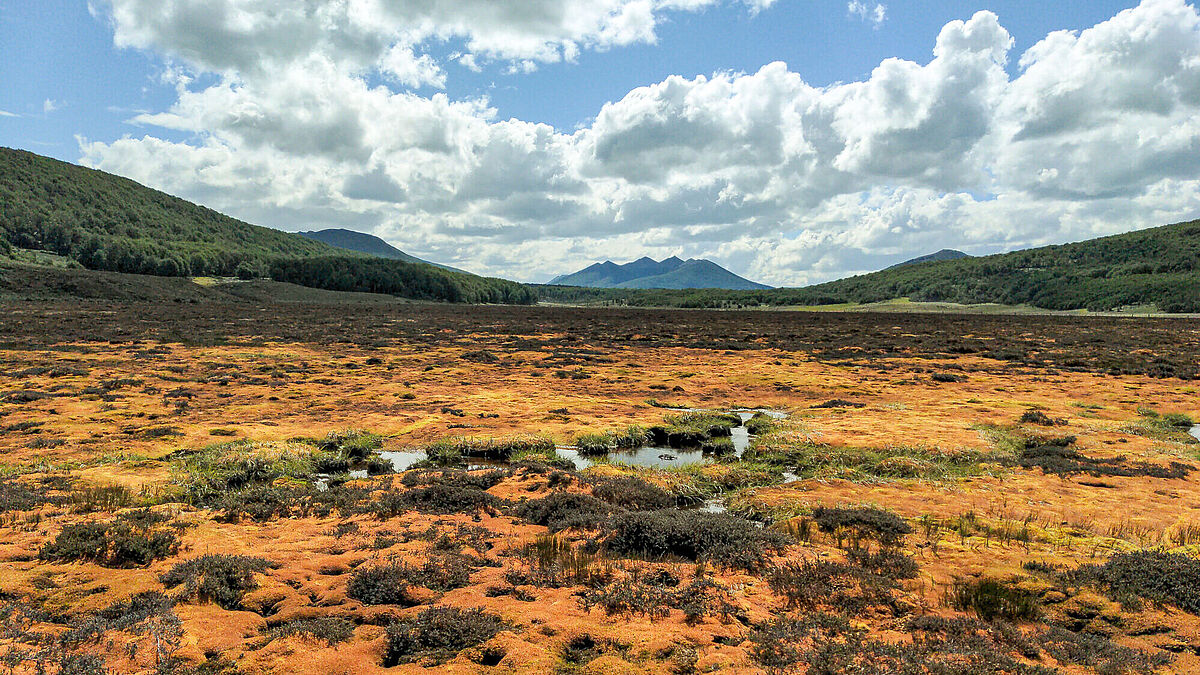 Moorlandschaft in Feuerland (Bright Spot Turba Tol) Moorlandschaft in Feuerland (Bright Spot Turba Tol)
